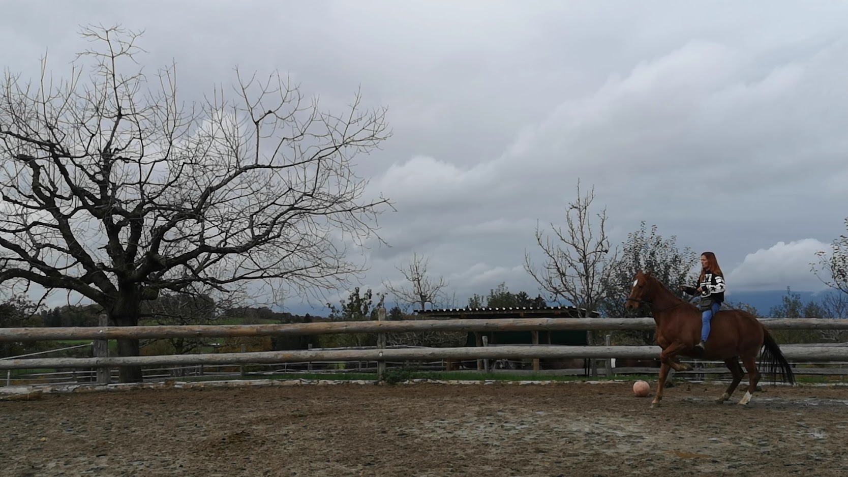 Sophia mit Quanto – Levade